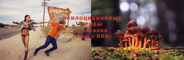первитин Арсеньев
