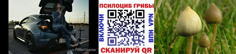 Галлюциногенные грибы прущие грибы  как найти закладки  Инта 